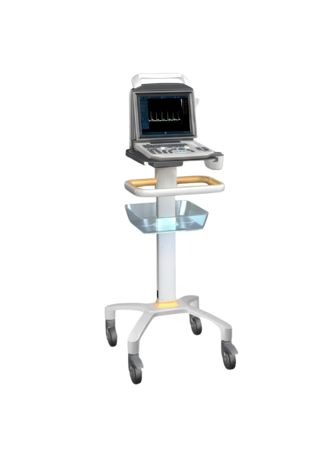 i50 portable BW ultrasound